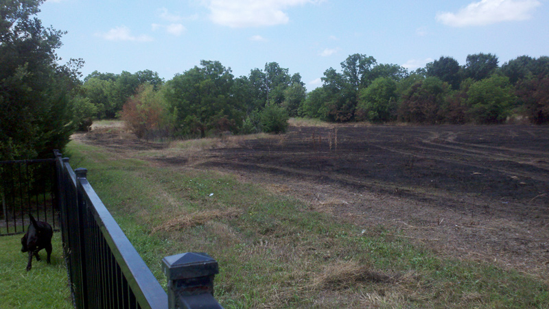 The field is completely charred, save one strip of grass along the fence line.