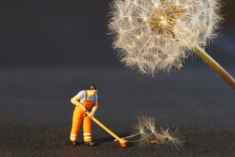 It's that time of year again! Photo of little toy worker brushing dandelion seeds