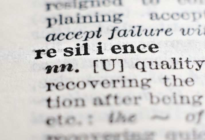 Resilience at Work Resilience in the dictionary