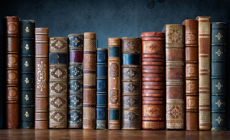 Books lined up on a shelf