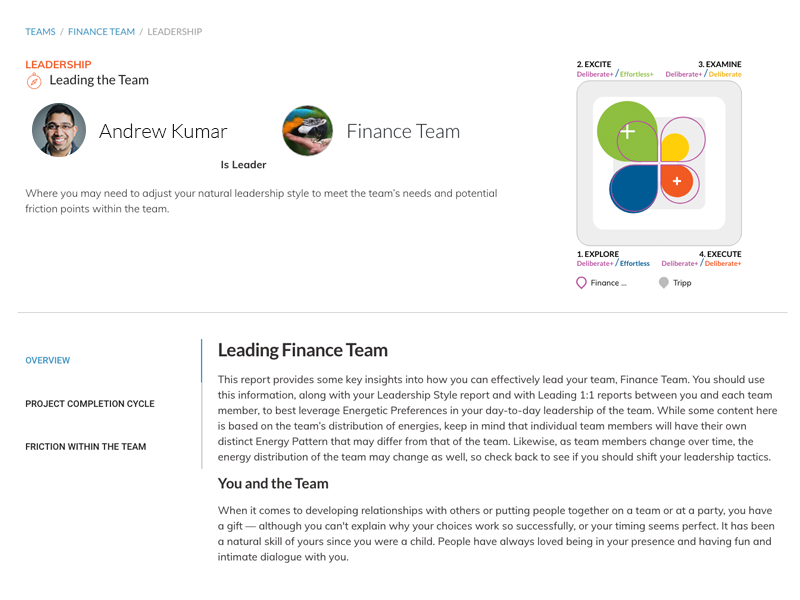A customized resource to guide leaders as they manage individuals and teams. Screenshot of Simpli5 analysis.